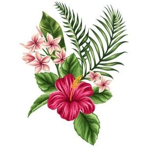 Meet your Posher, Tania